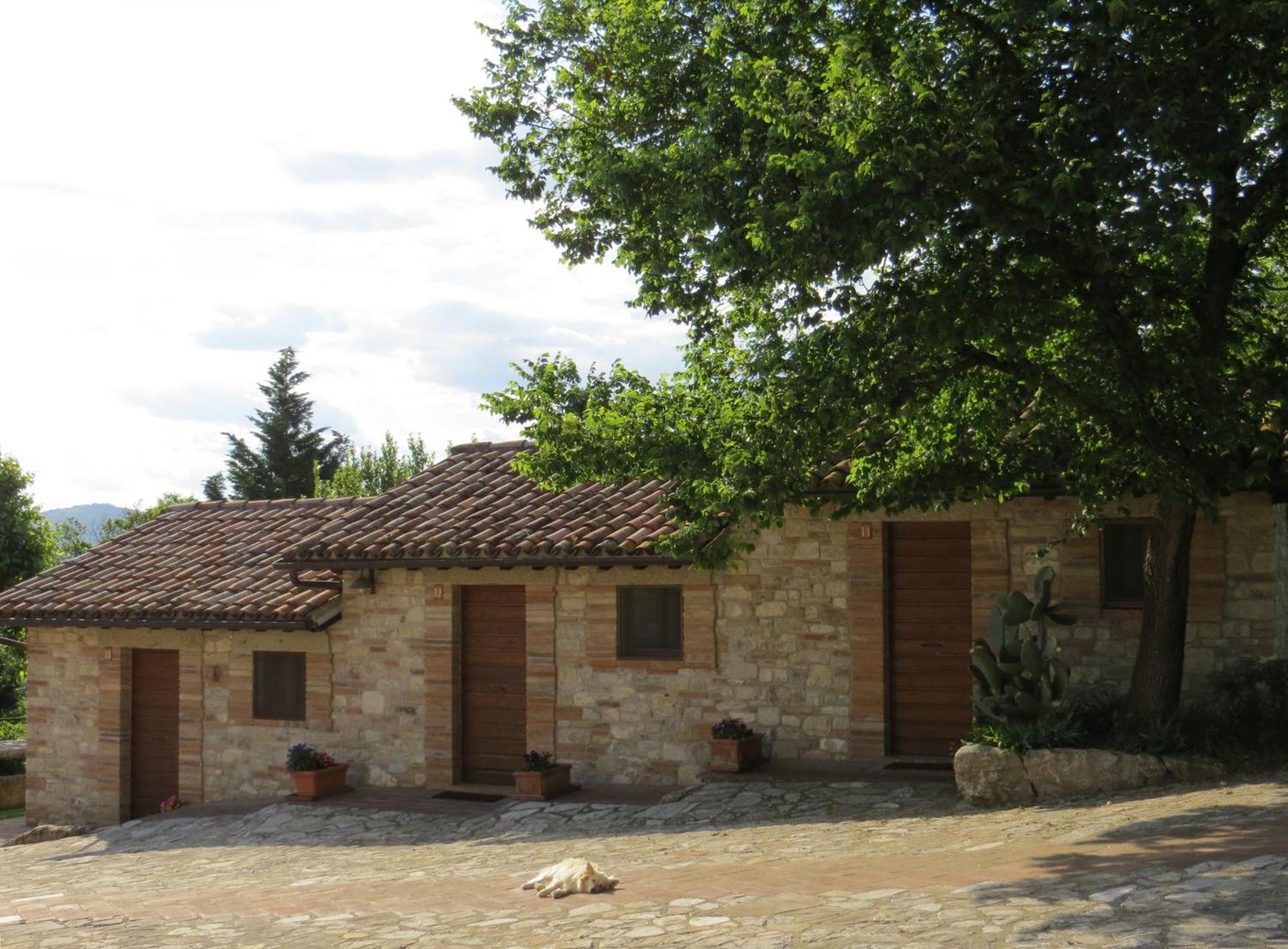 Agriturismo Casale delle Lucrezie Todi Esterno foto